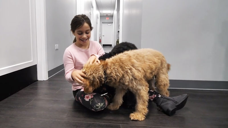 Therapy Dogs at St. Charles Pediatric Dental Office
